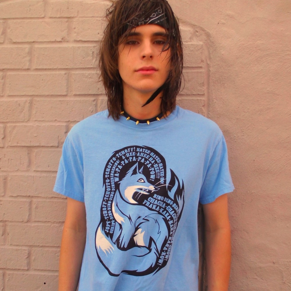 WHAT DOES THE FOX SAY? Blue Cotton Size M T-Shirt